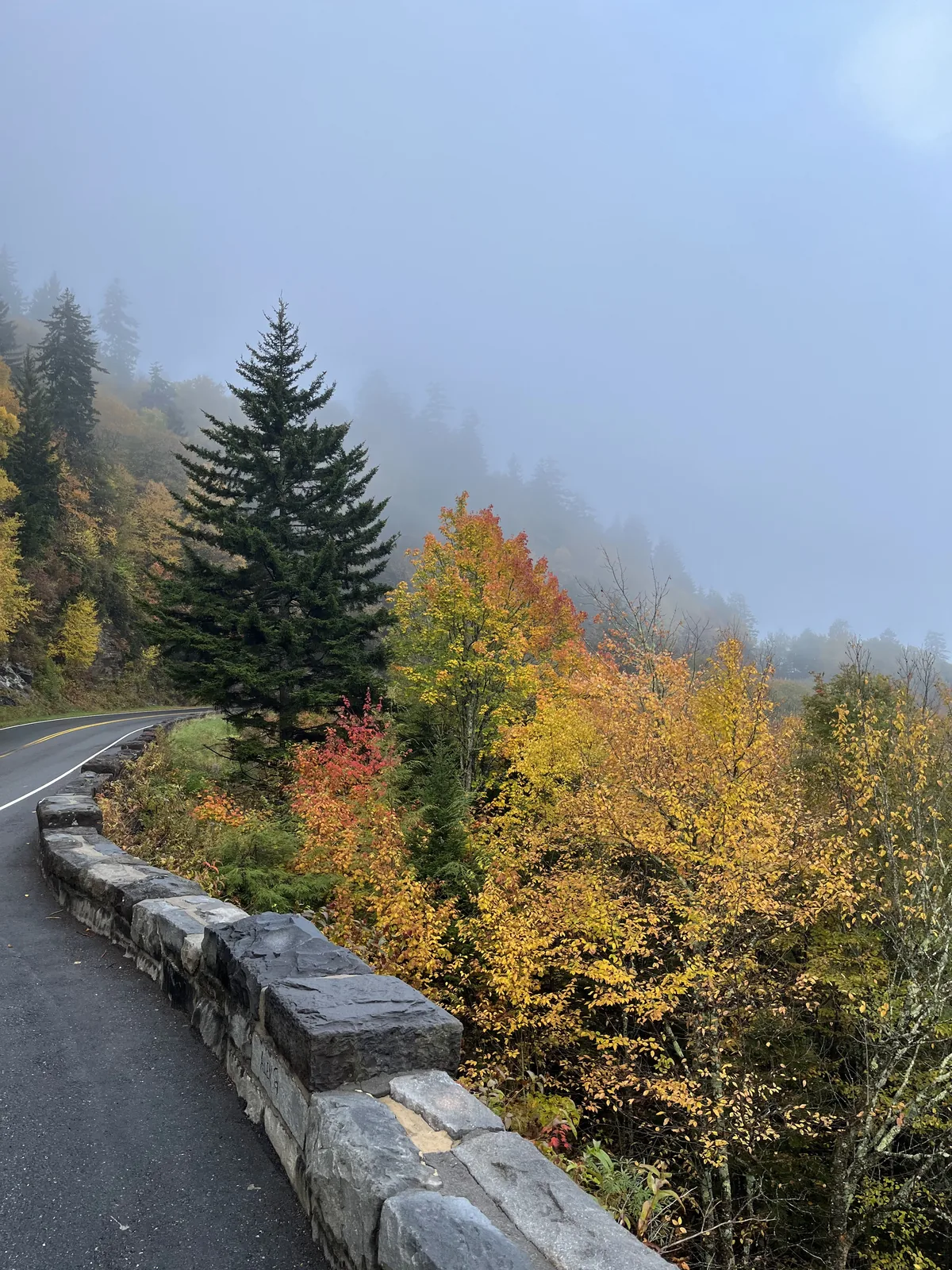 Autumn trees glowing beside a mountain trail