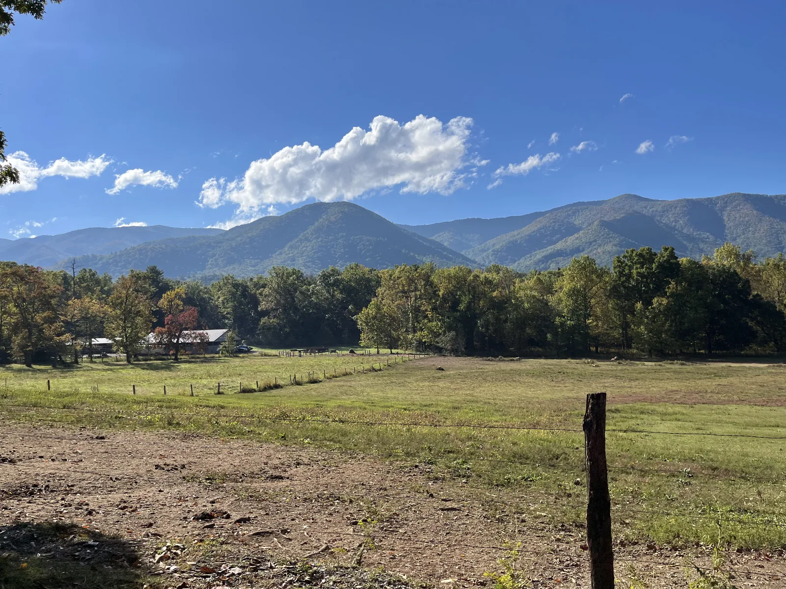 Open field with snow-capped mountains under blue sky