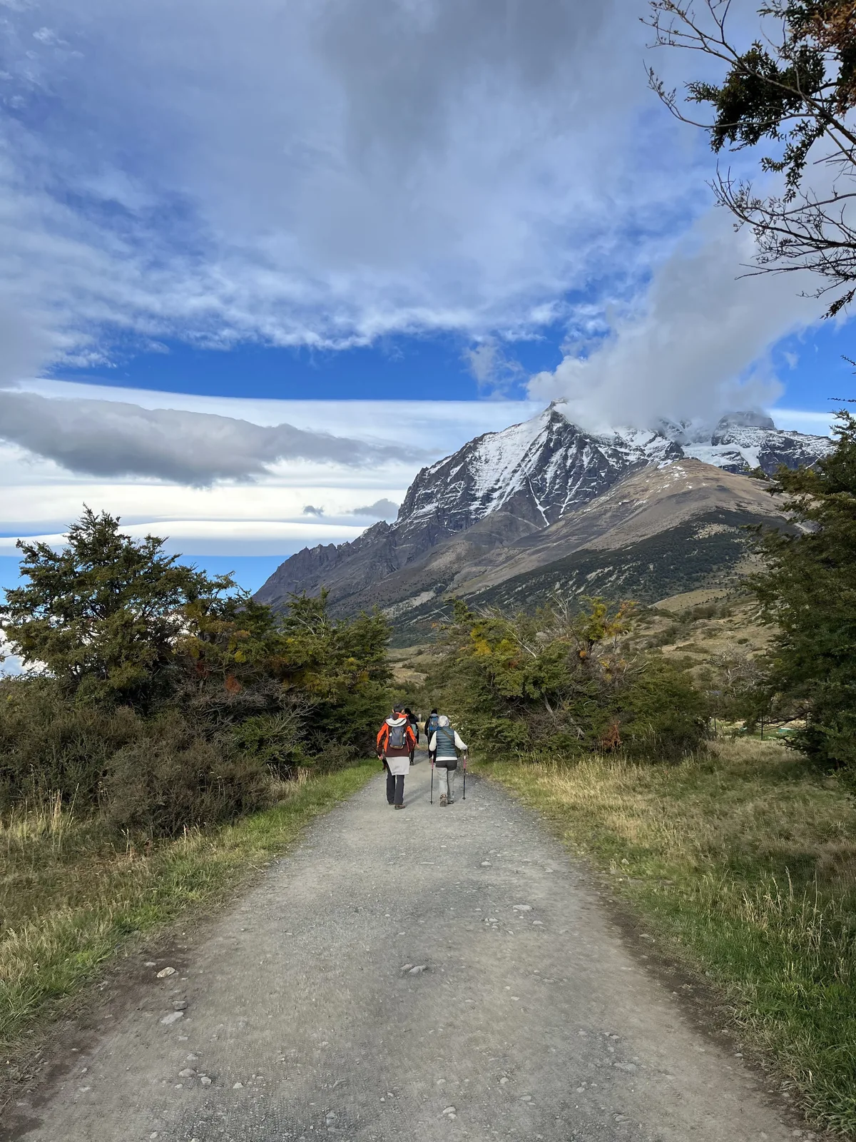 Sunflowers with a tall monument in the distance