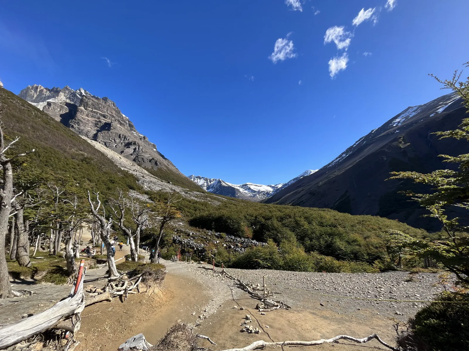 Foggy mountain overlook in peak fall color