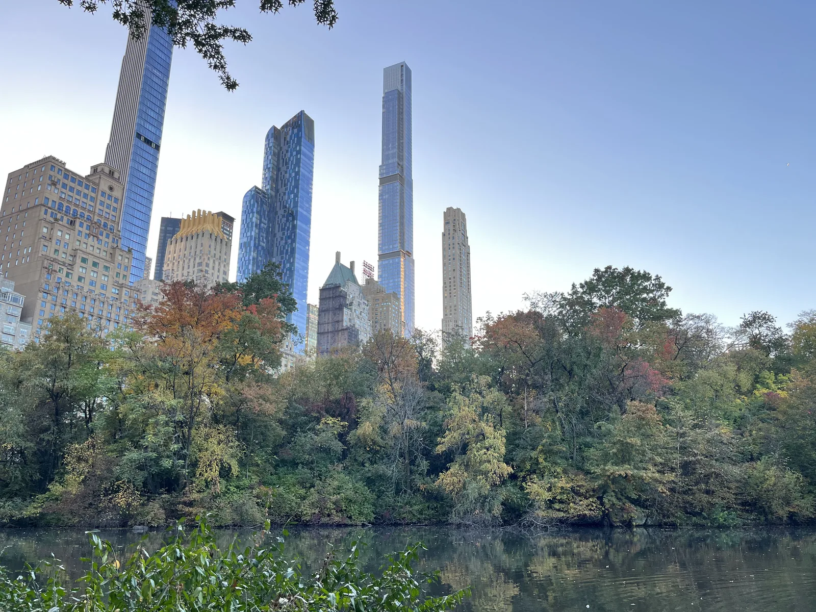 Sunflowers against a pink evening sky