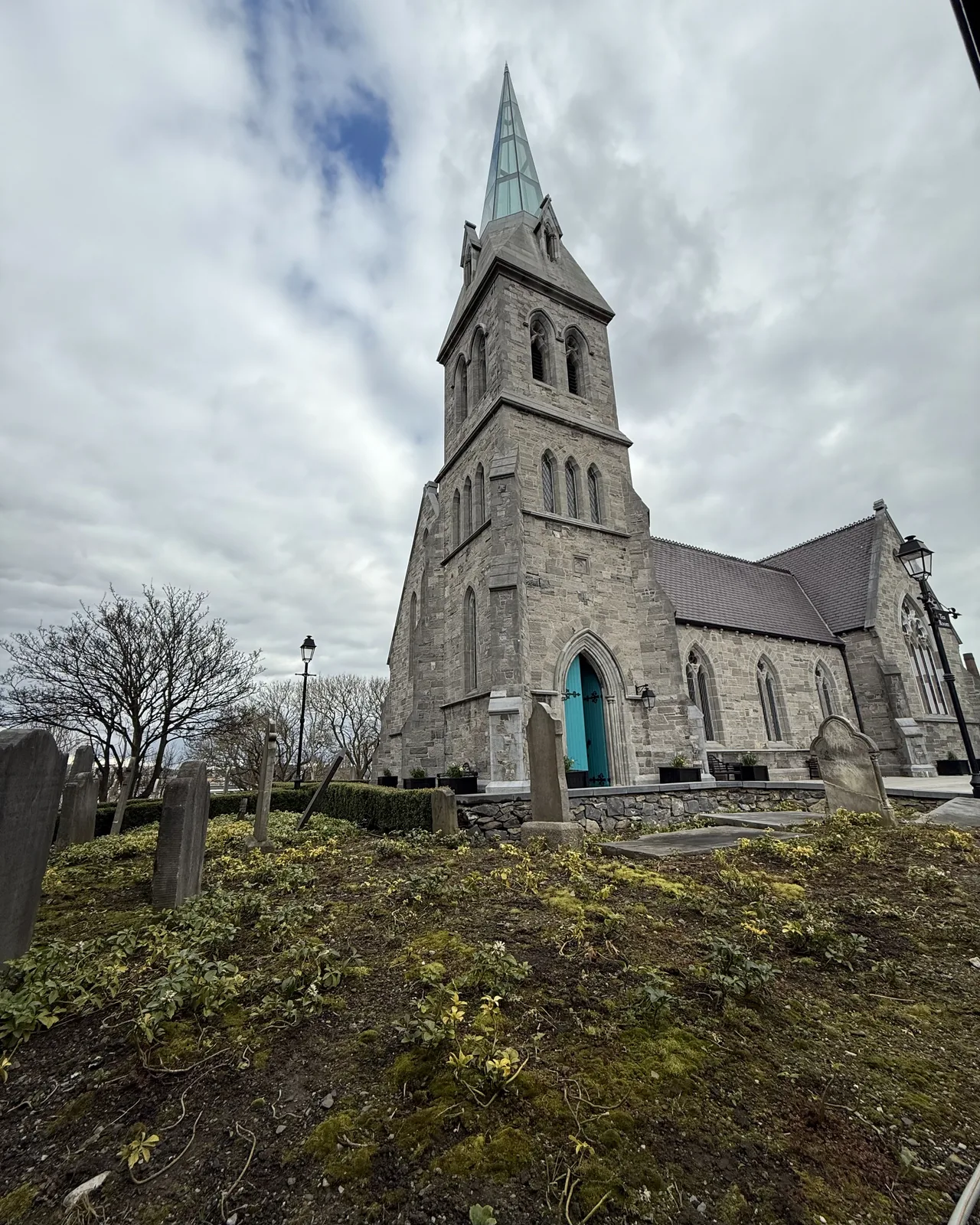 Boardwalk leading through a green wetland
