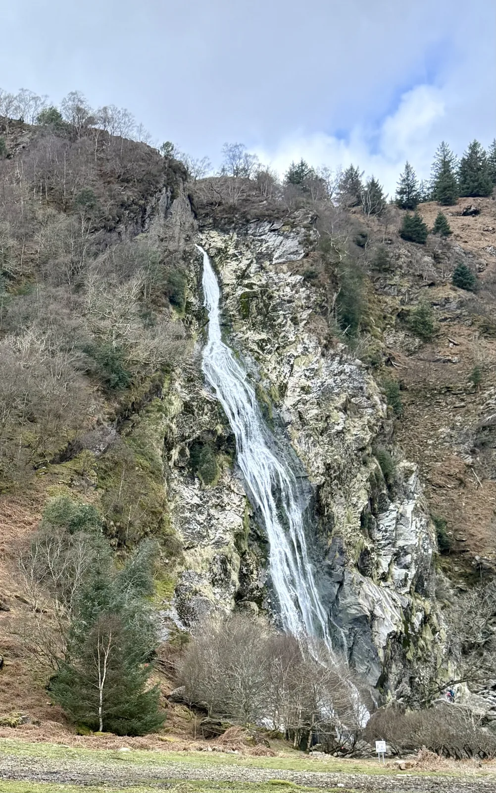 Mountain summit framed by evergreen slopes