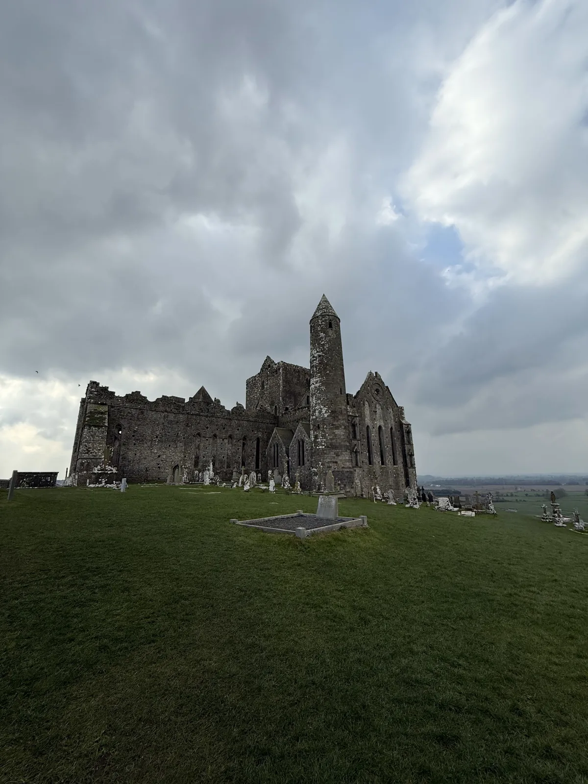 Tropical palms and turquoise water along a beach