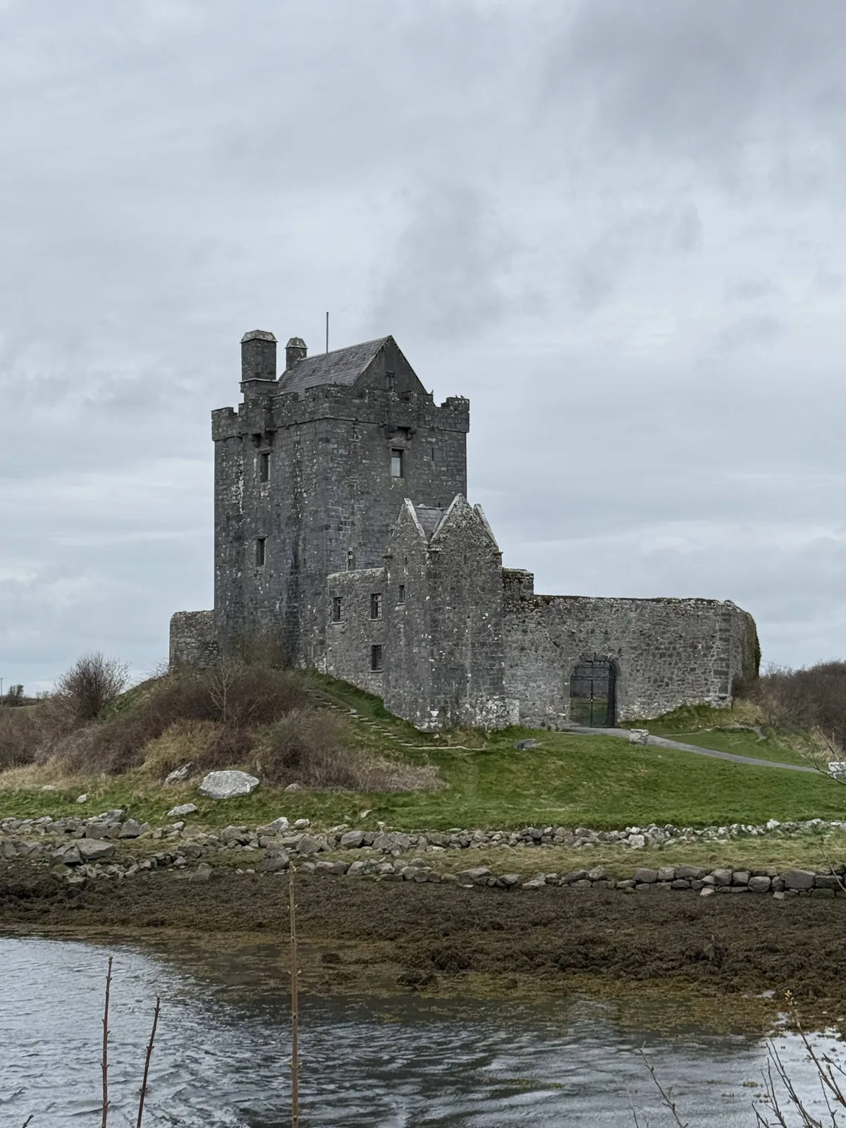 Coastal hills and sea framed by palm trees