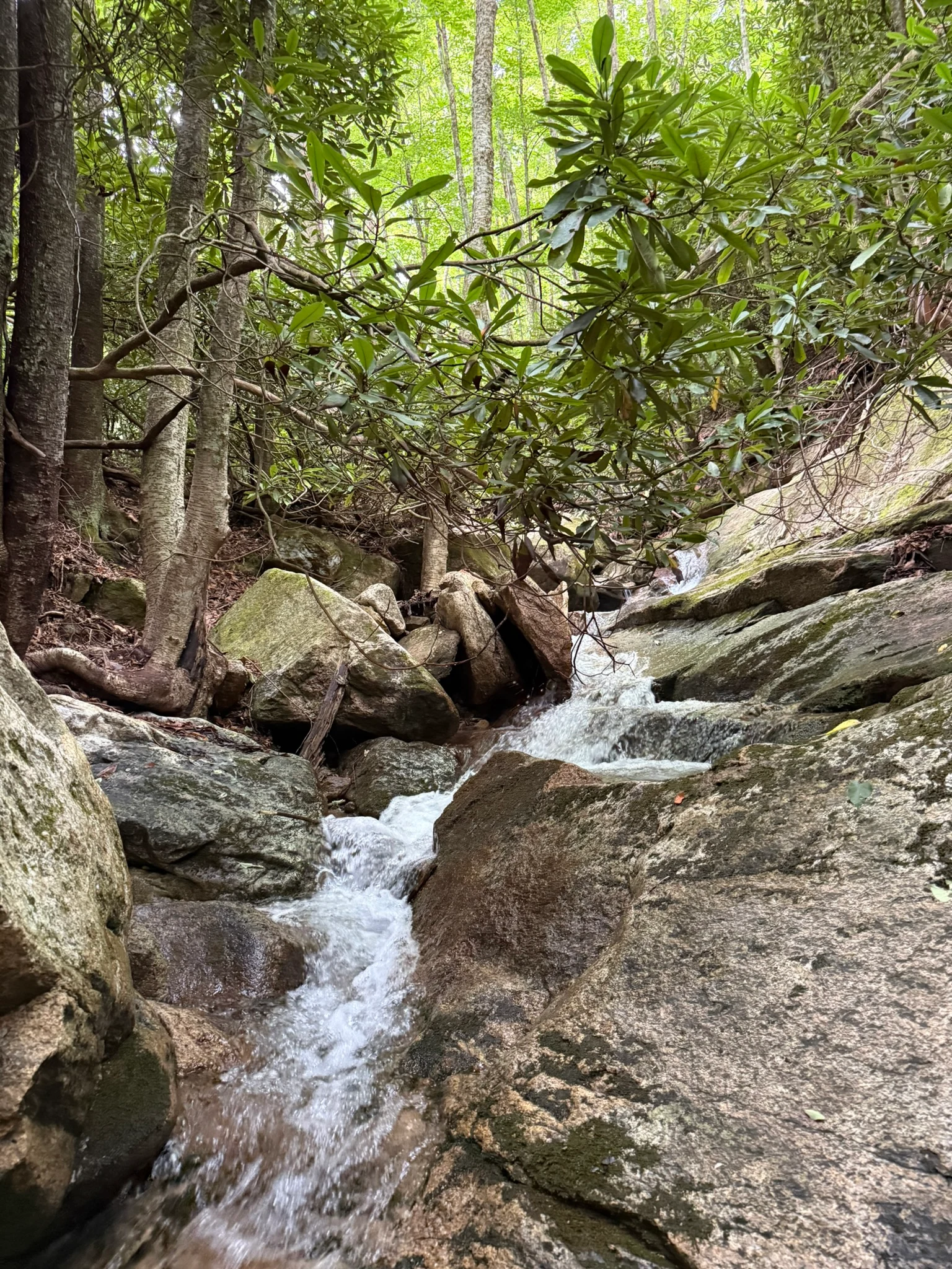 A narrow cascade flowing through mossy rocks along the Buckeye Falls Trail.