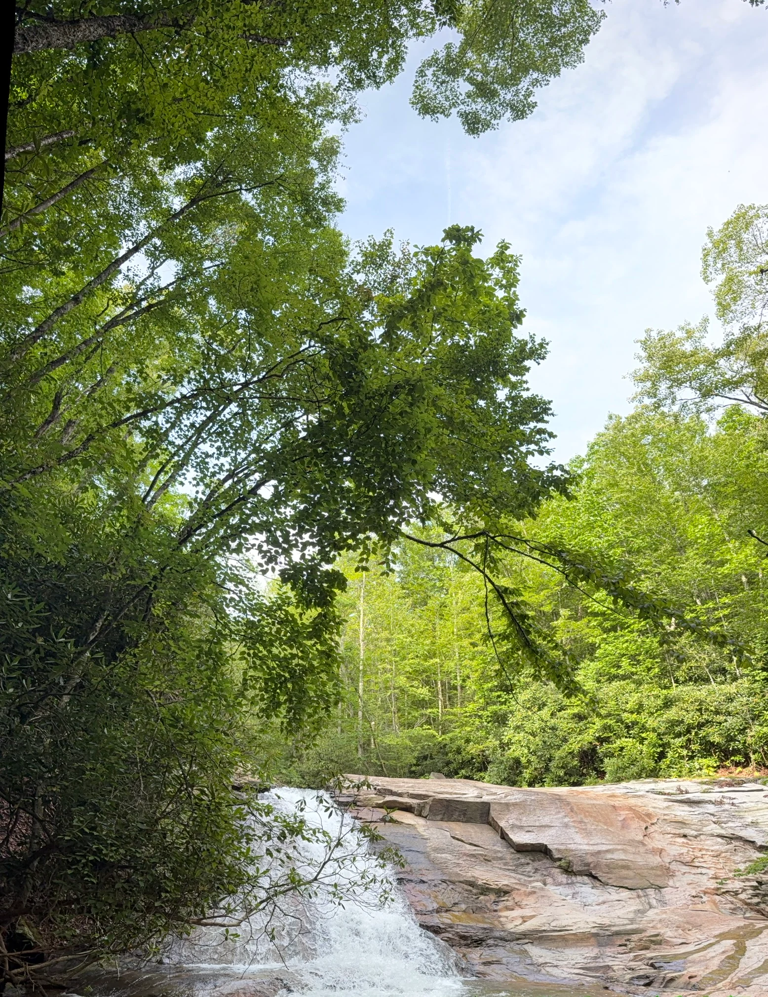 Buckeye Falls flowing through a dense green forest.