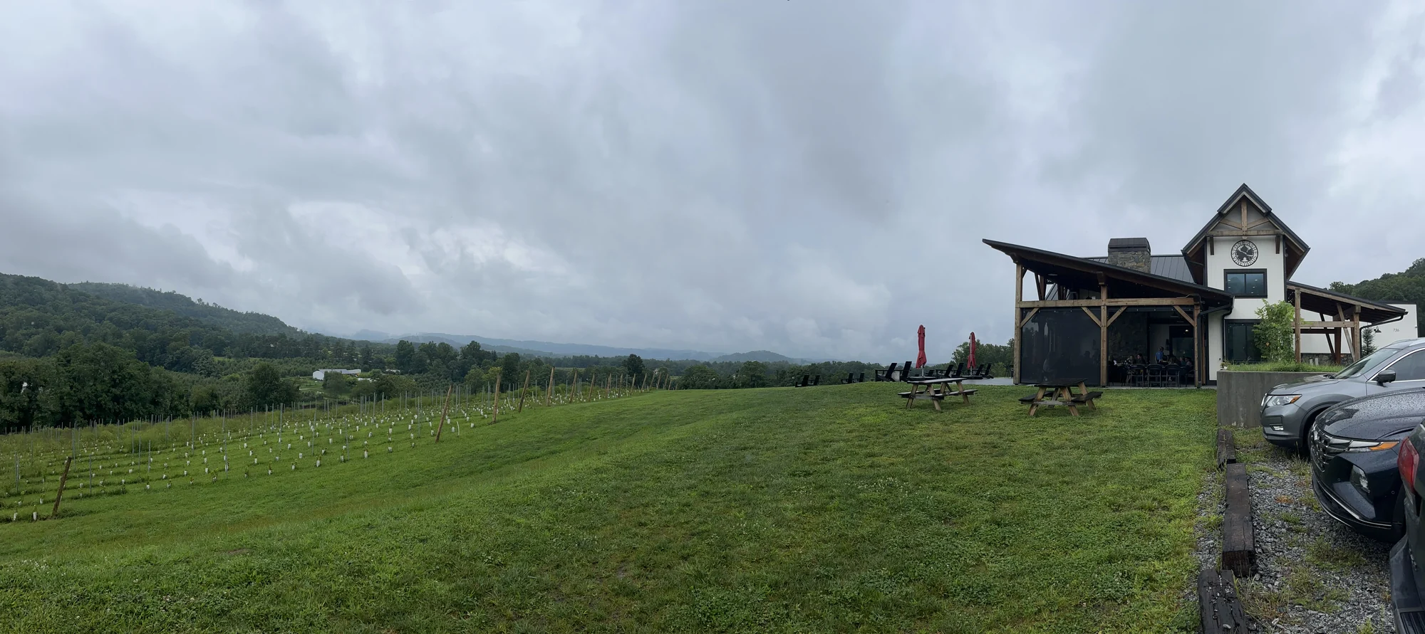 A vineyard lawn overlooking rows of vines and green mountains beneath September clouds.