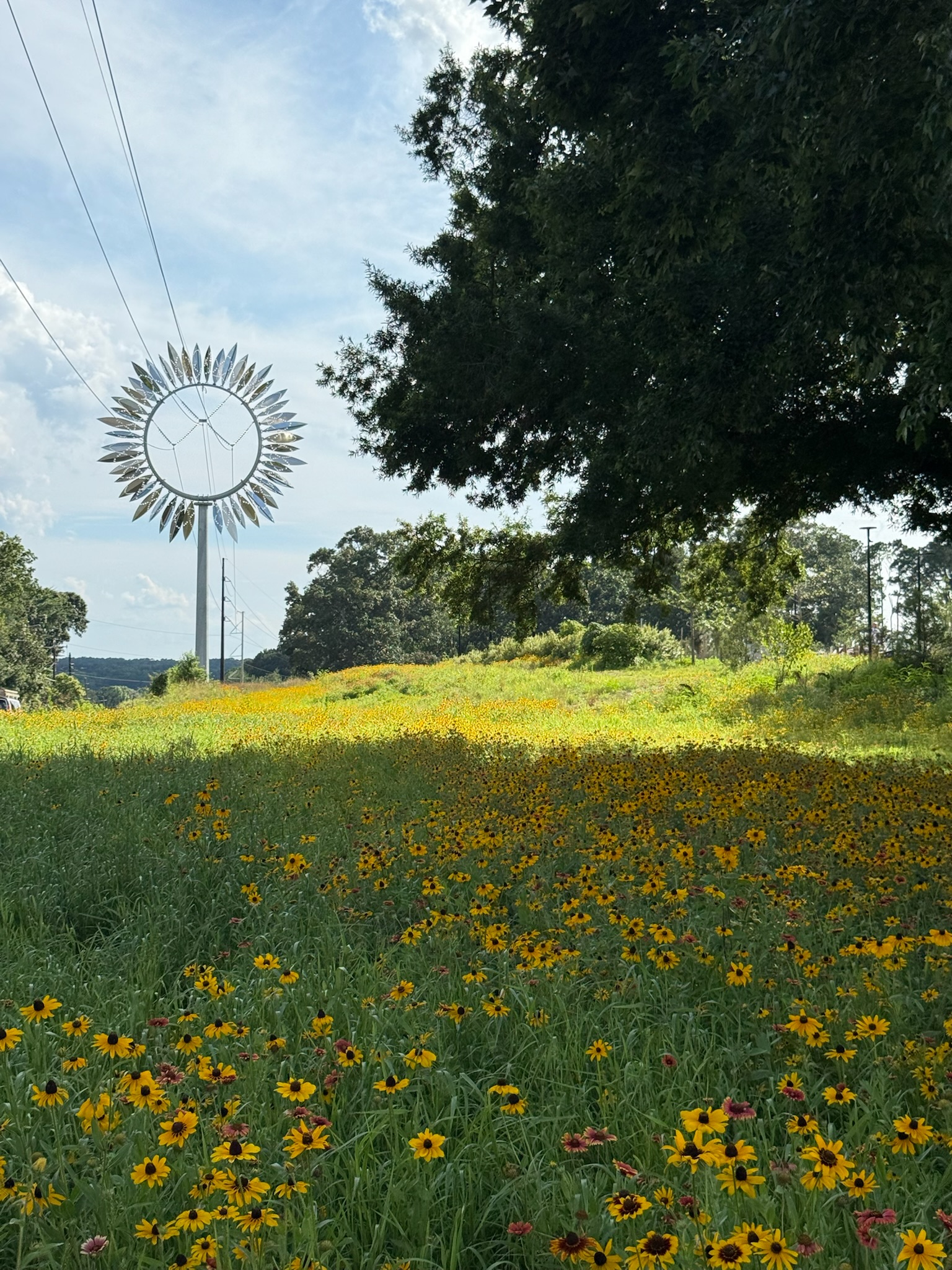 An illuminated field sculpture at Dorothea Dix Park at dusk beneath a broad blue sky.
