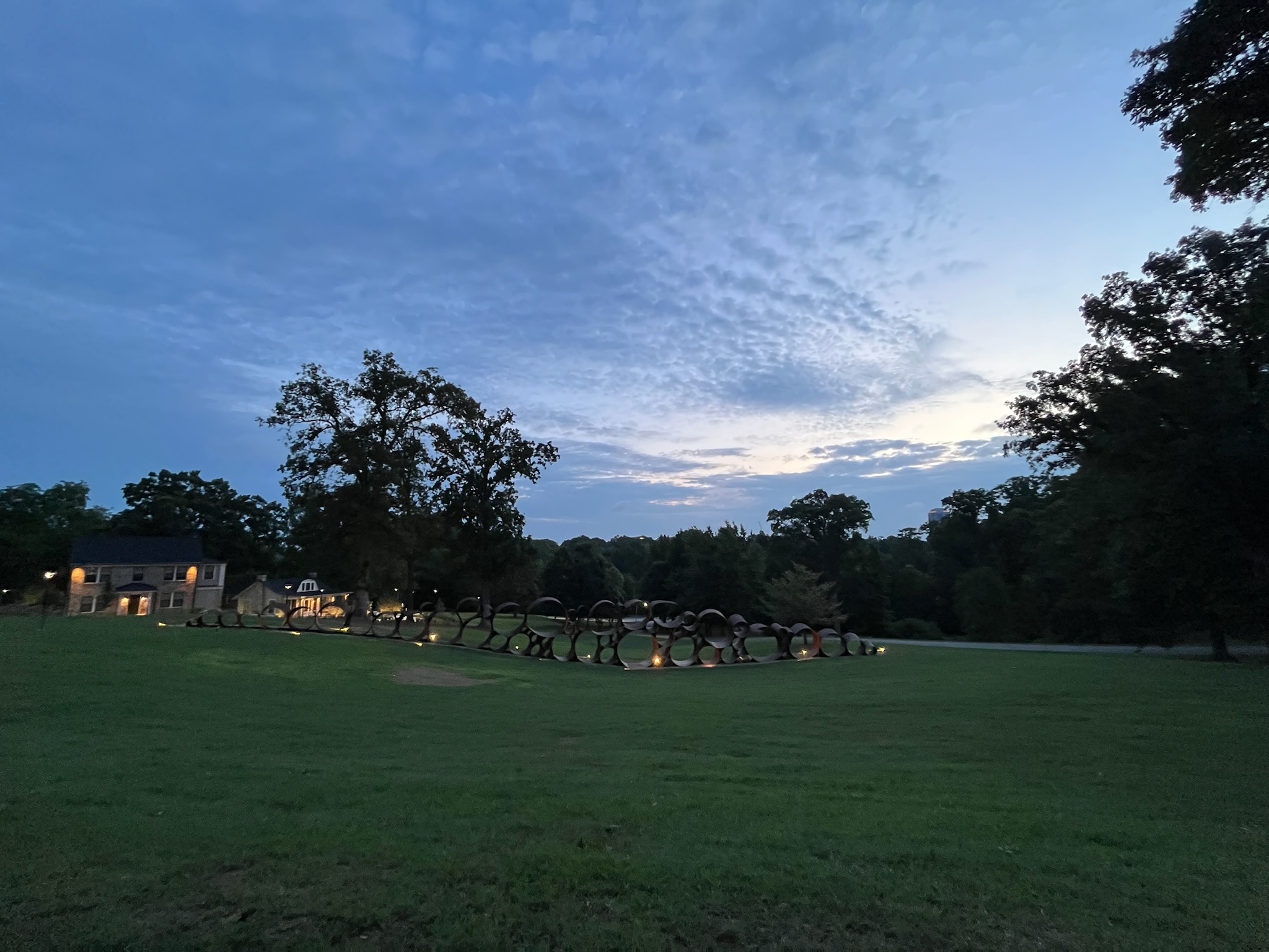 Wildflowers blooming beneath Dix Park's Sun Circle public art installation in Raleigh.