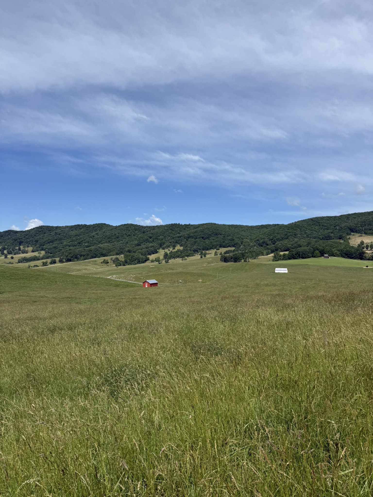 Farmland and rolling mountains near Monterey, Virginia.