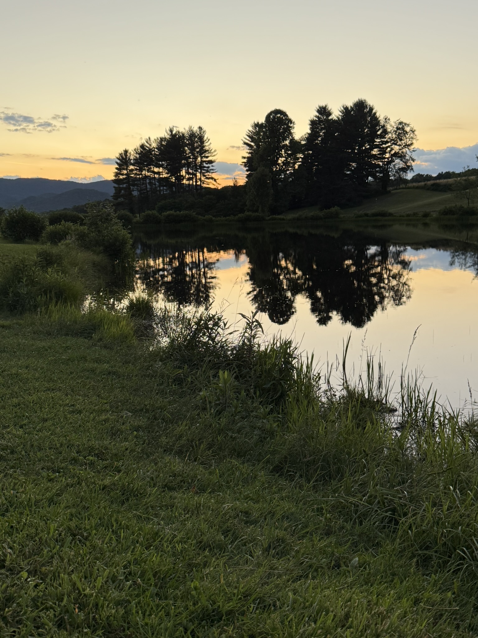 A still pond reflecting trees and mountains in West Virginia at sunset.