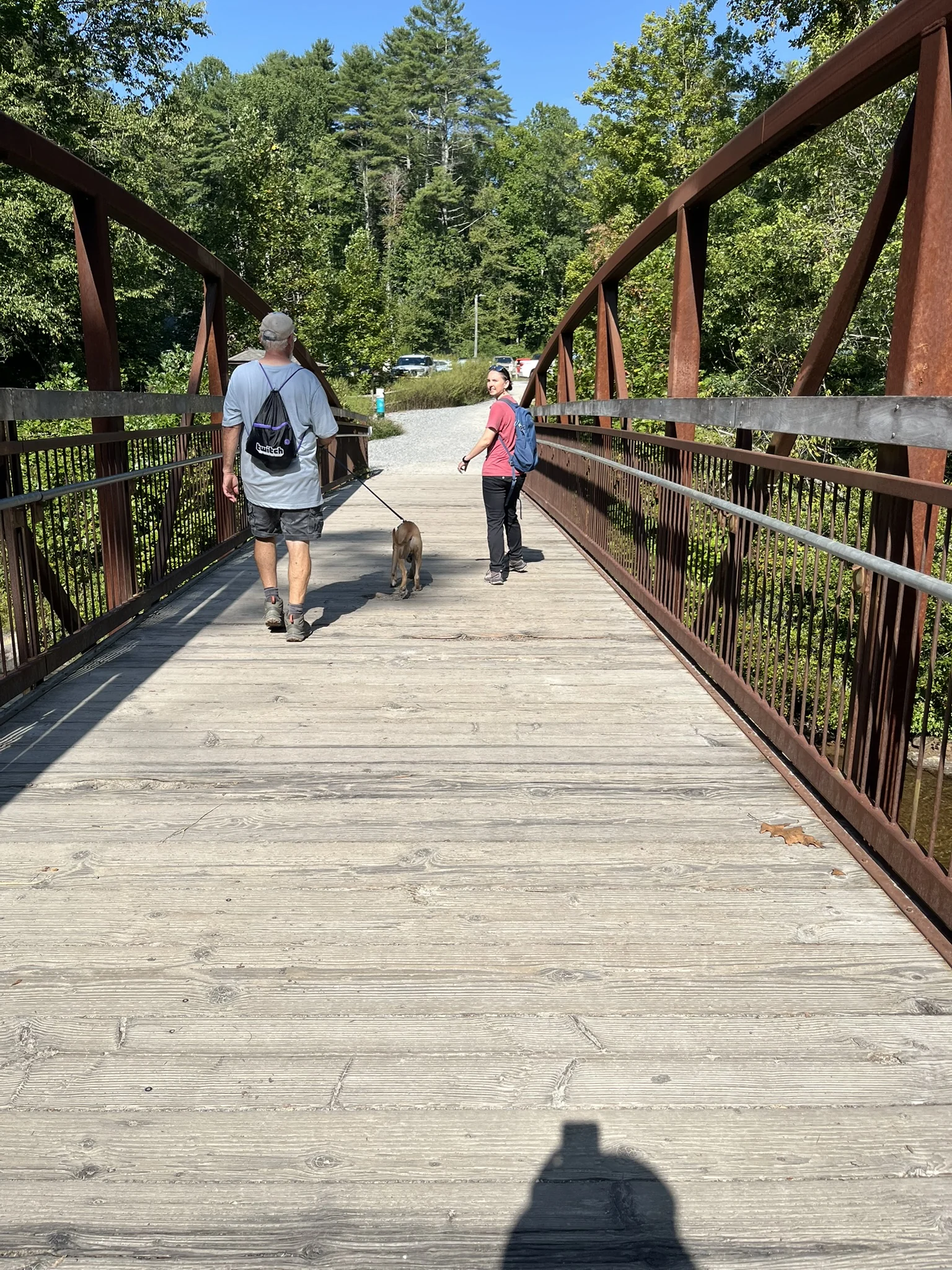 Two hikers and Viktor crossing a footbridge surrounded by green forest.