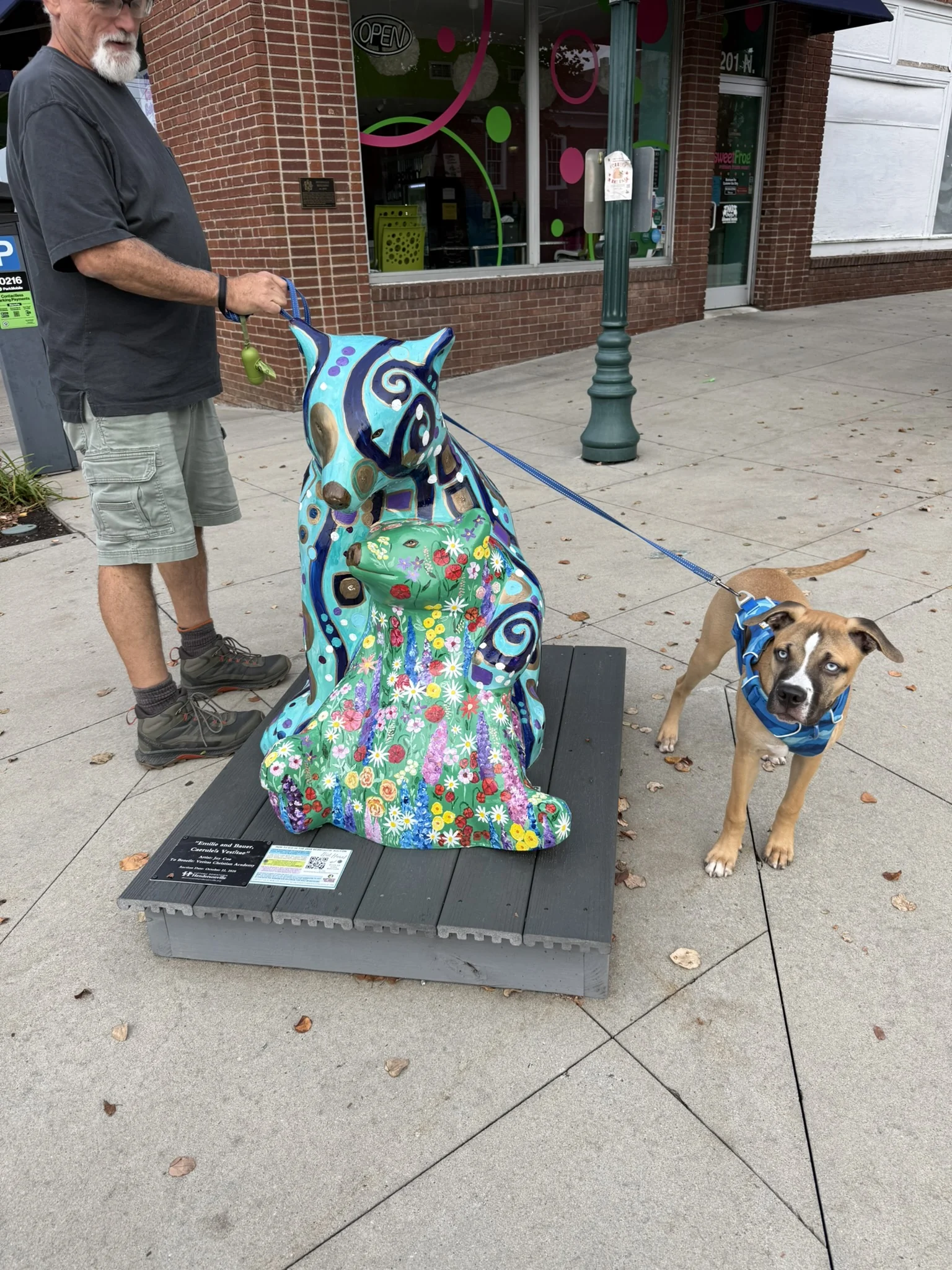 Viktor standing beside a colorful bear statue while a person holds his leash downtown.