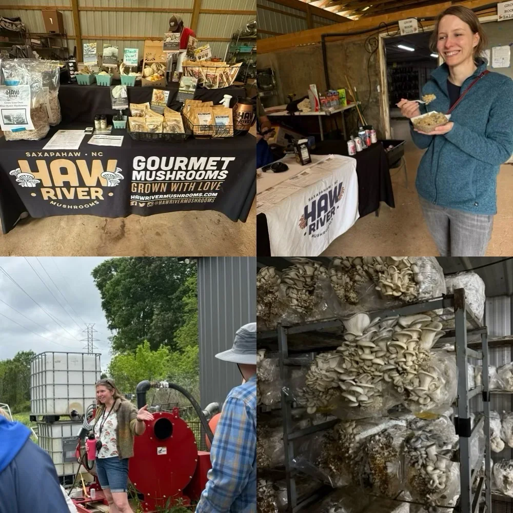 A collage of Haw River Mushrooms displays, samples, tour moments, and oyster mushroom growing bags during the Piedmont Farm Tour in North Carolina.