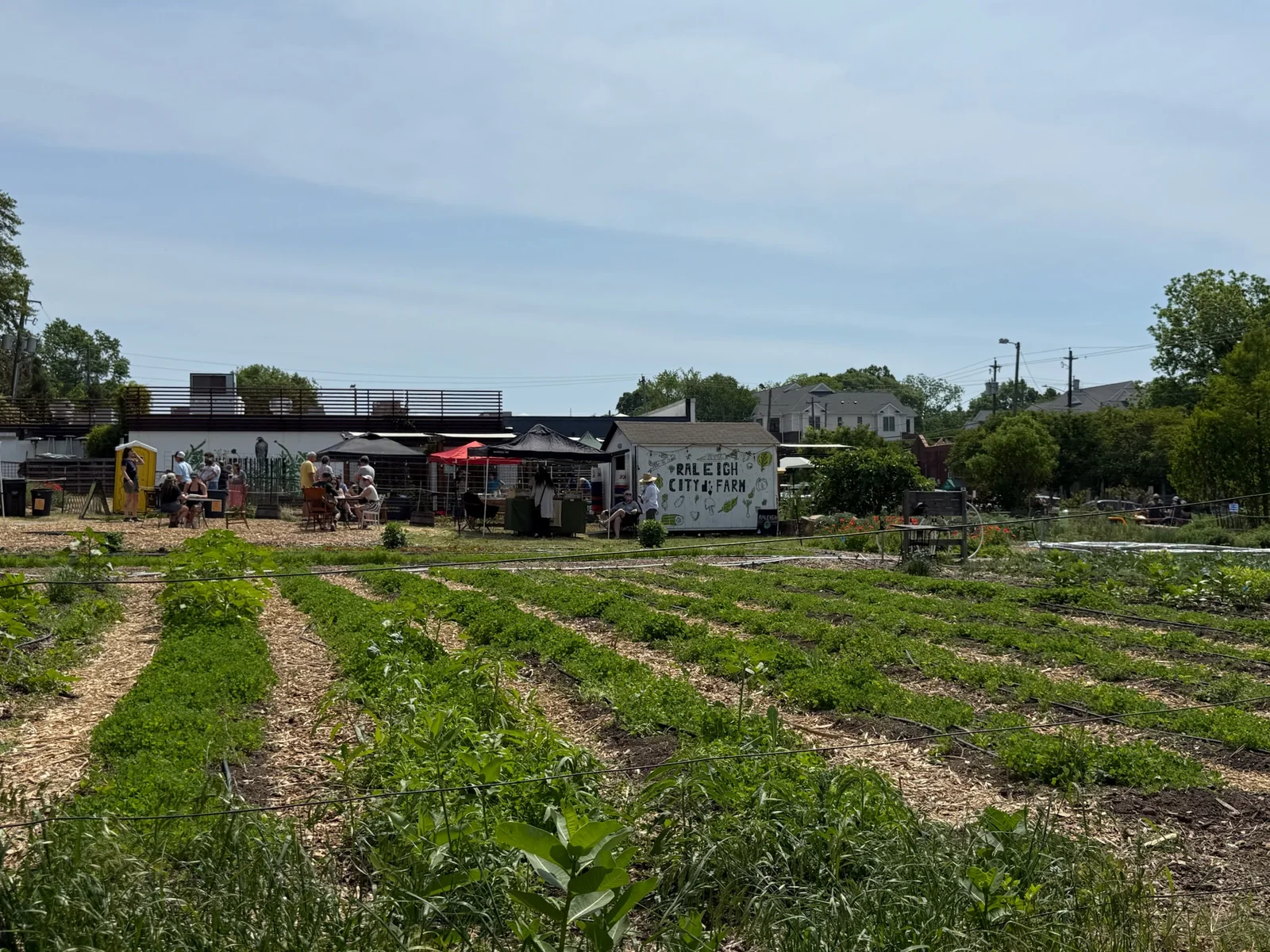 Raleigh City Farm garden rows with people gathered near the farm buildings during the Bearthday celebration.
