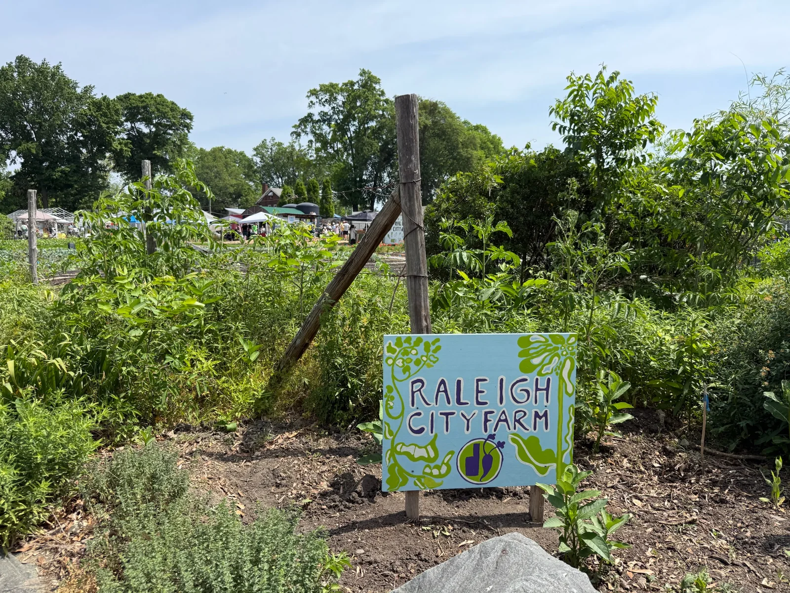 A hand-painted Raleigh City Farm sign surrounded by garden plants before the Piedmont Farm Tour weekend.