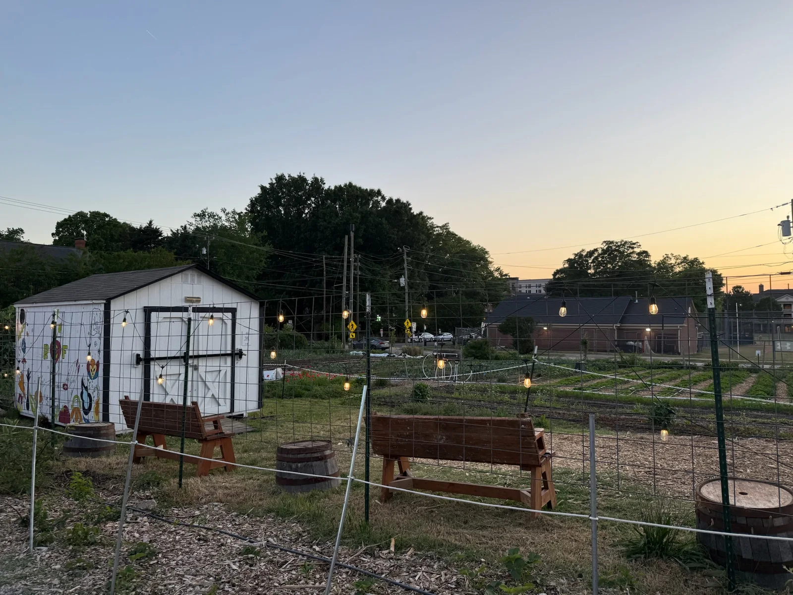 Raleigh City Farm garden beds and string lights at sunset before the Piedmont Farm Tour weekend.