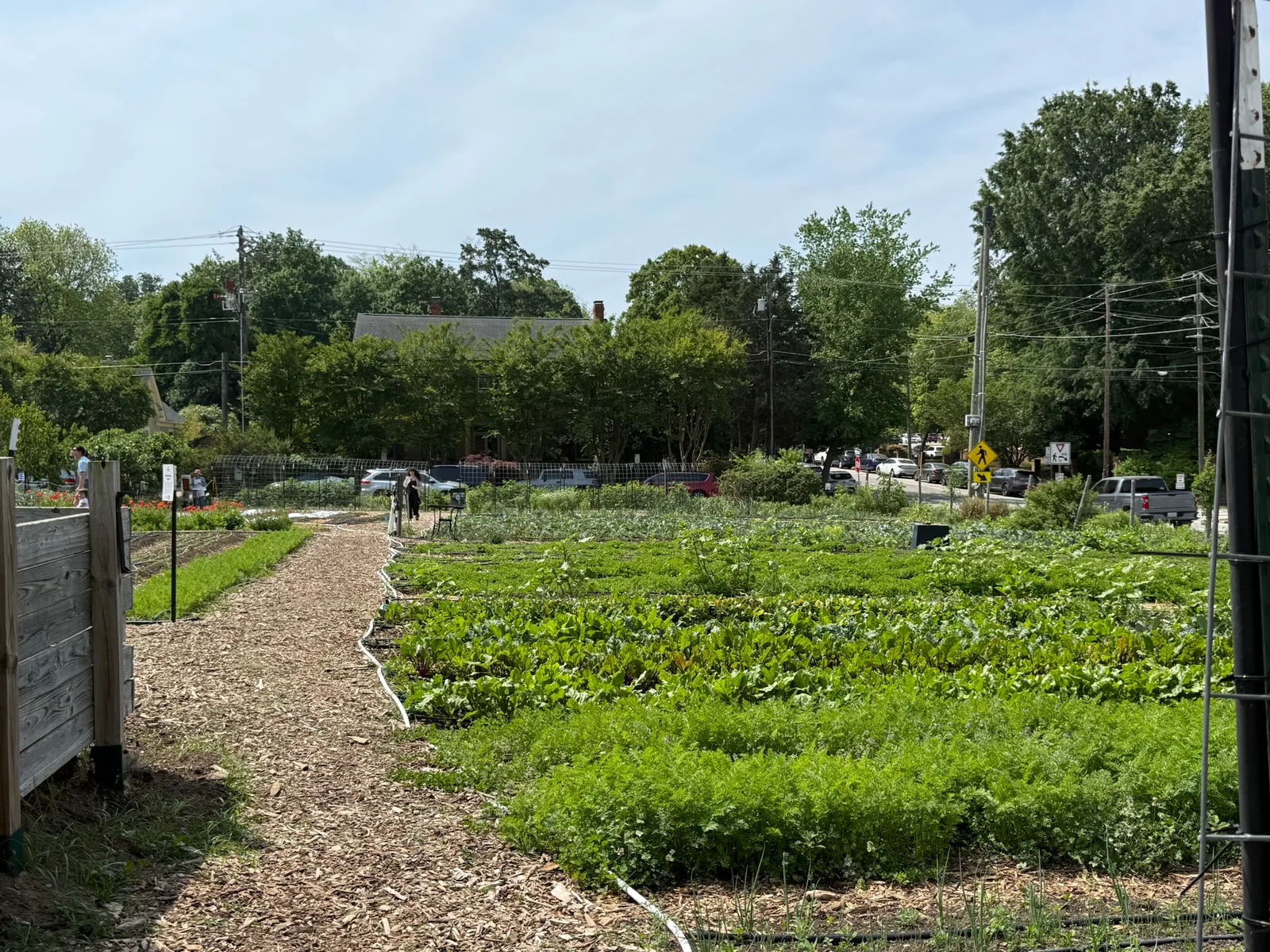 Vegetable beds and walking paths at Raleigh City Farm during a spring event in Raleigh.