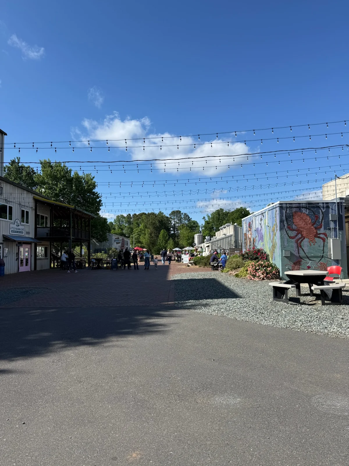 A walkway with string lights, murals, and visitors at The Plant in Pittsboro after the Piedmont Farm Tour.