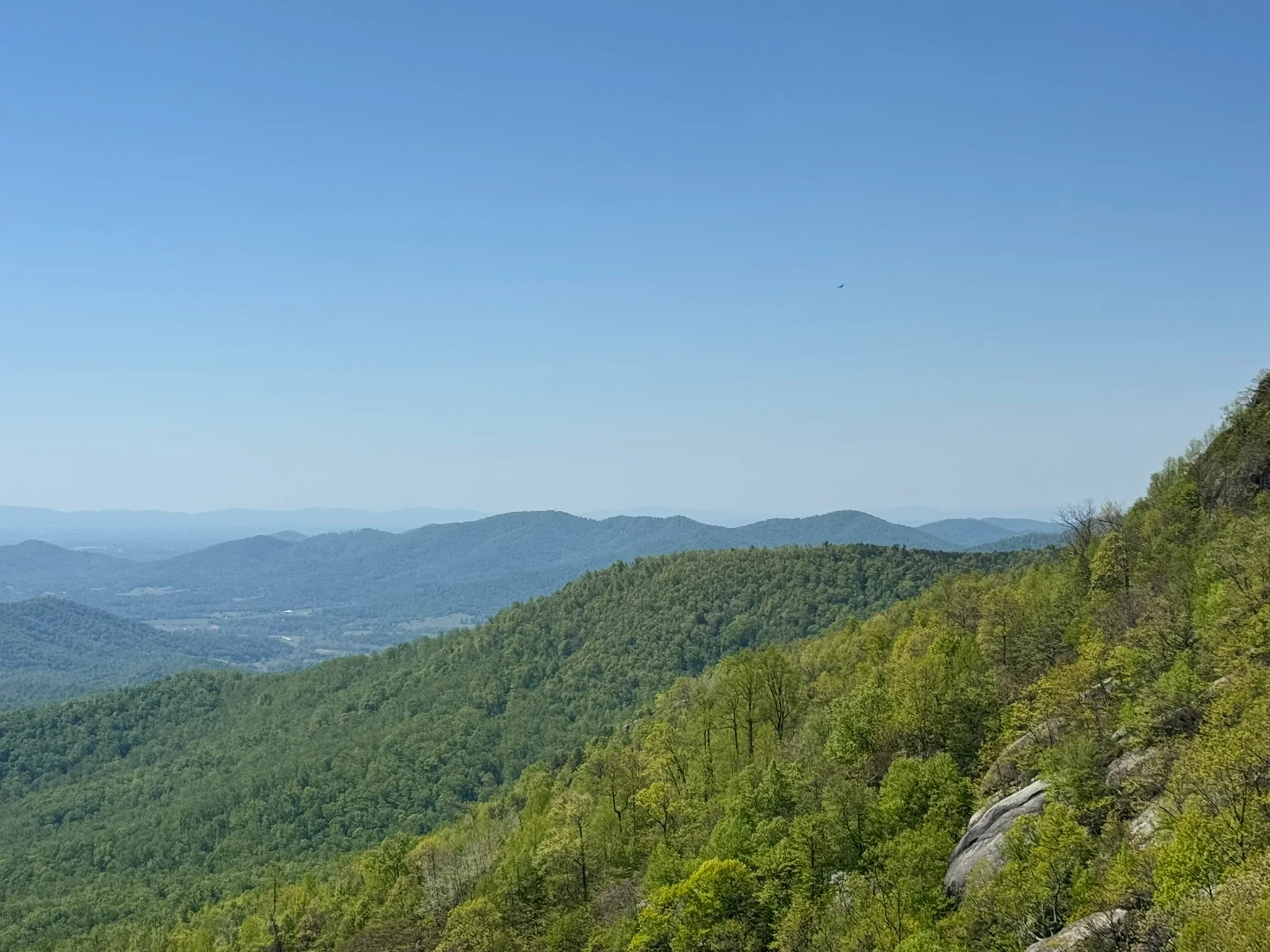 A blue-sky view from Old Rag across layered green ridges and the Shenandoah Valley.