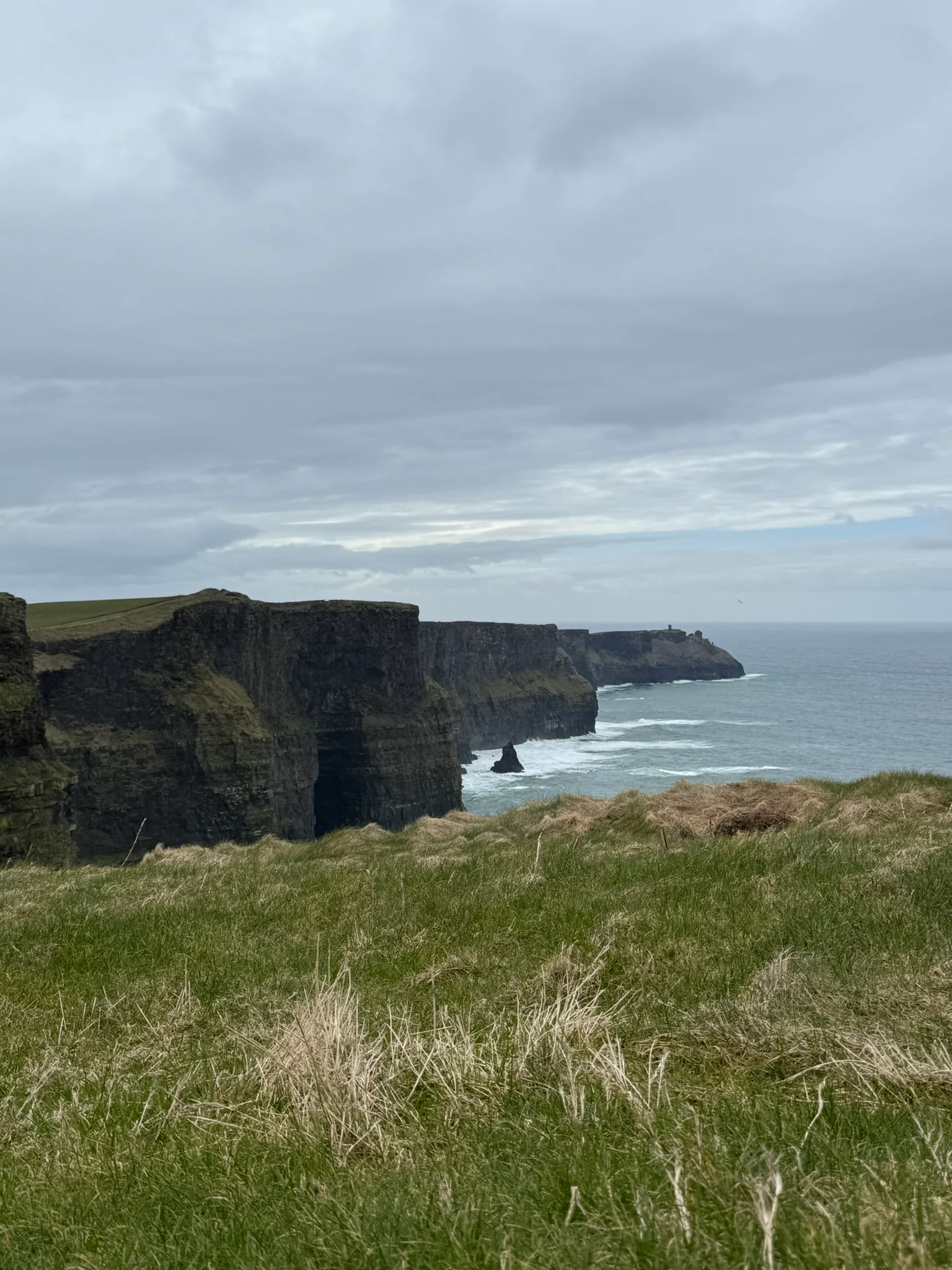 The Cliffs of Moher dropping into the Atlantic with waves below and grass in the foreground.