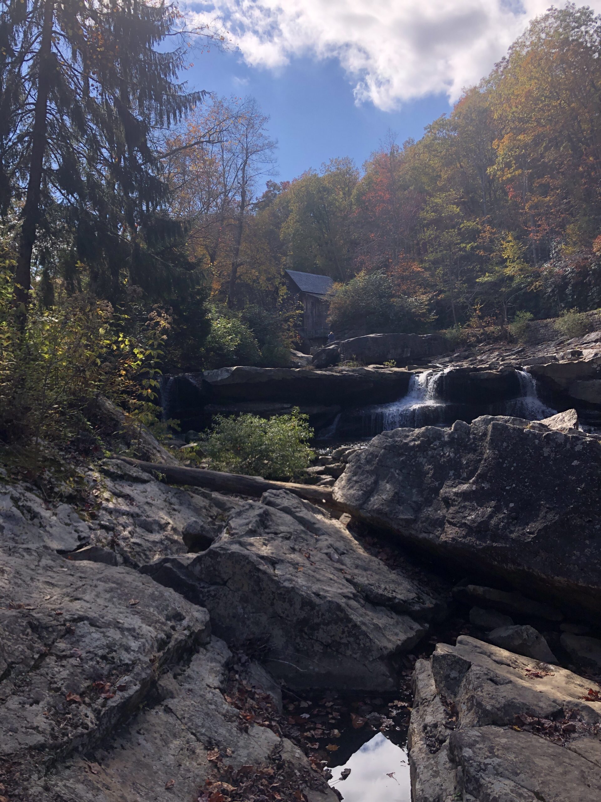 Babcock State Park (Near New River Gorge National Park)