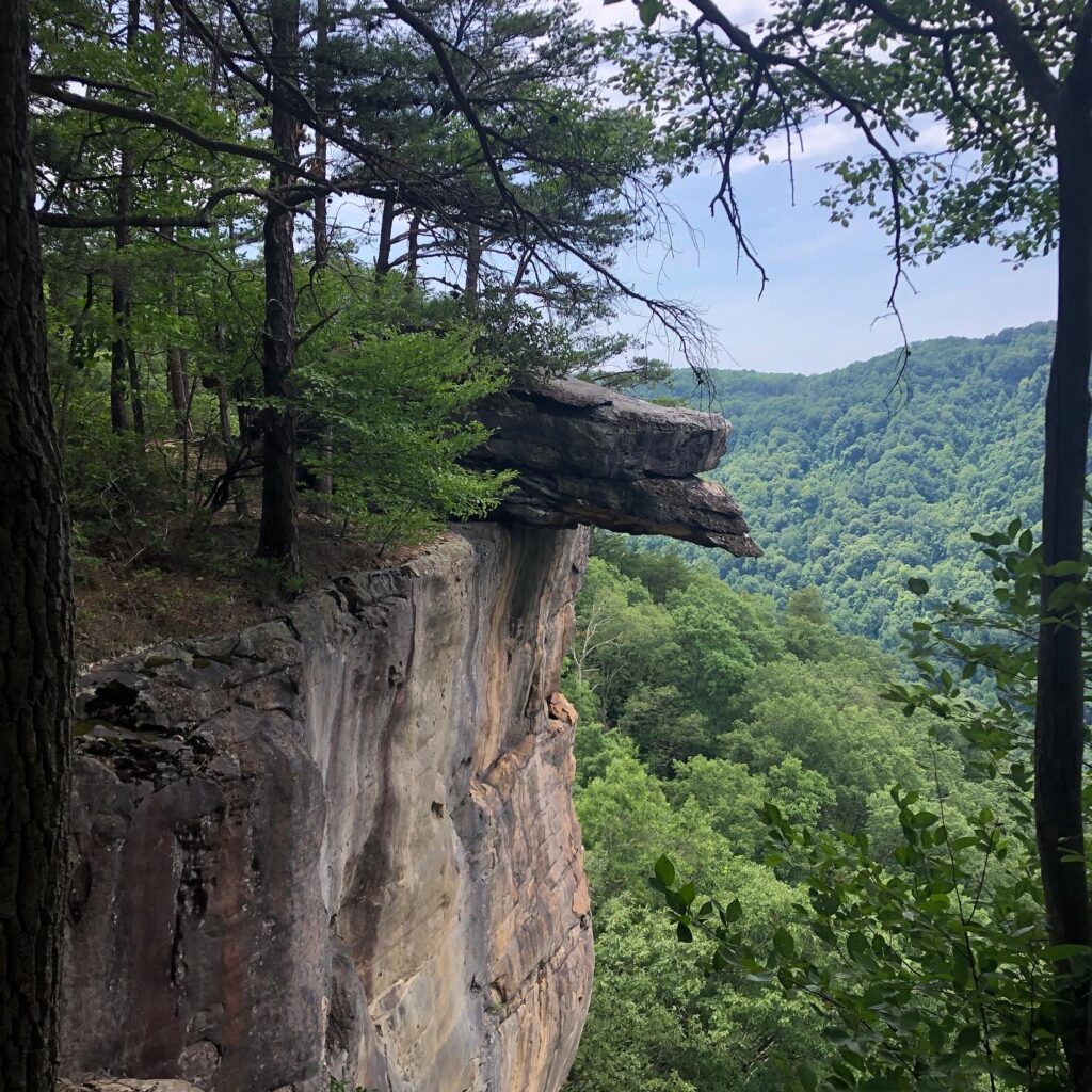 Endless Wall Trail at New River Gorge National Park