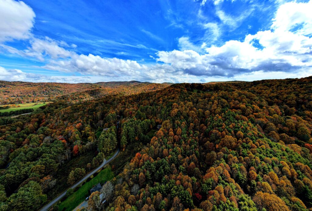 Autumn in the High Country