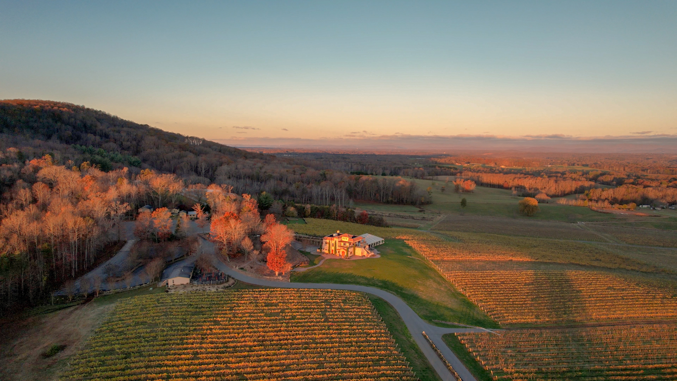 Taking a Ride on the Elkin Vine Line