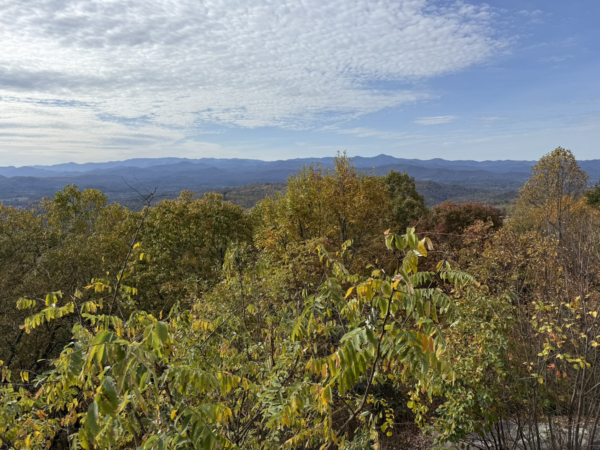 Wine Country to Wedding Bells: A Blue Ridge Celebration